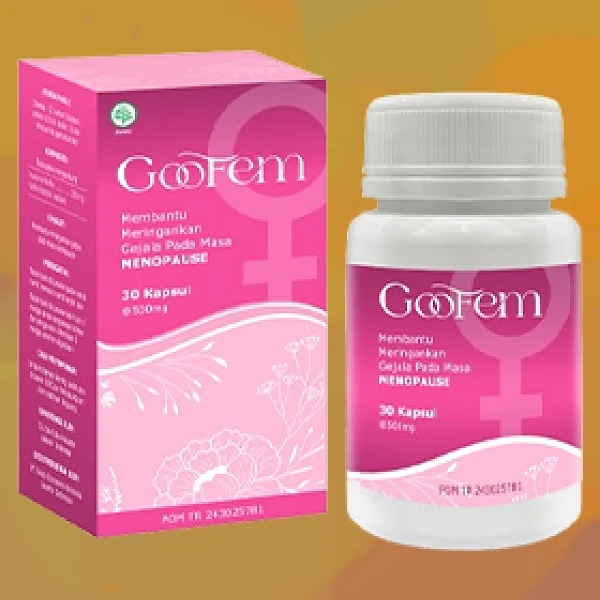 GOOFEM