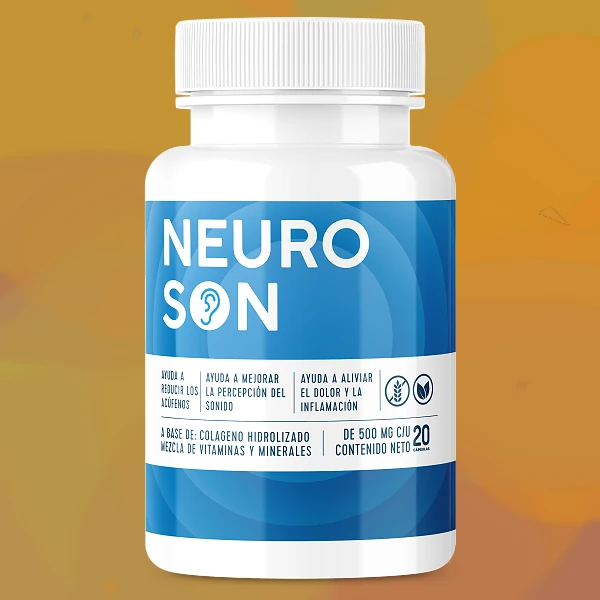 Neuroson