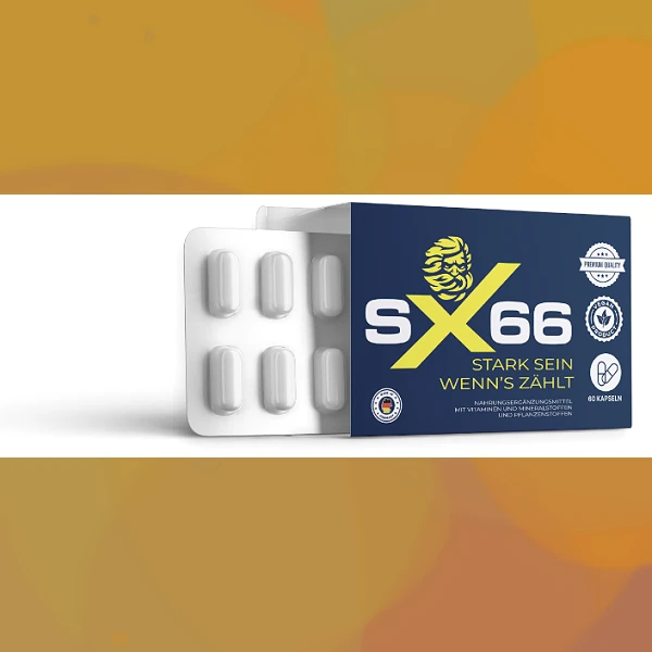 SX 66